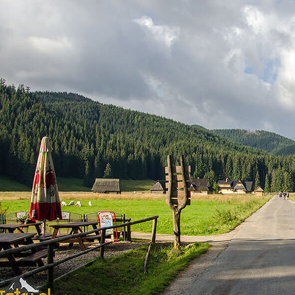 Na Polanę Chochołowską z Siwej Polany