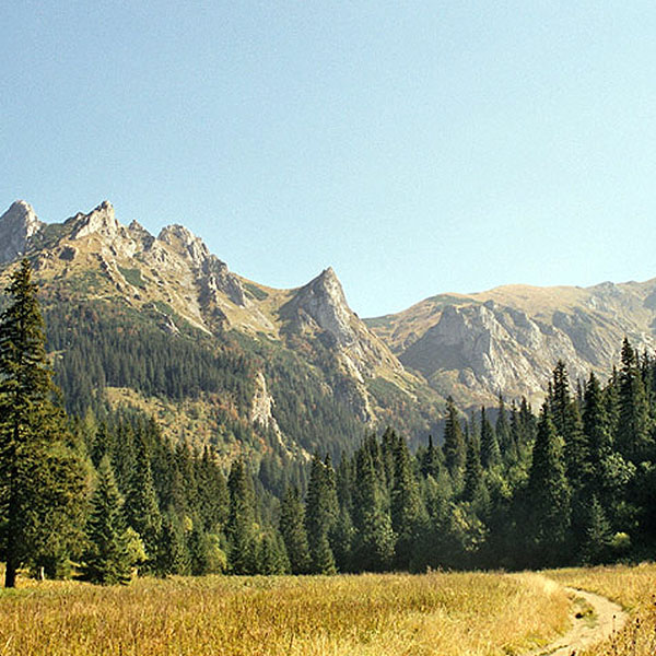 Na Giewont z Doliny Małej Łąki