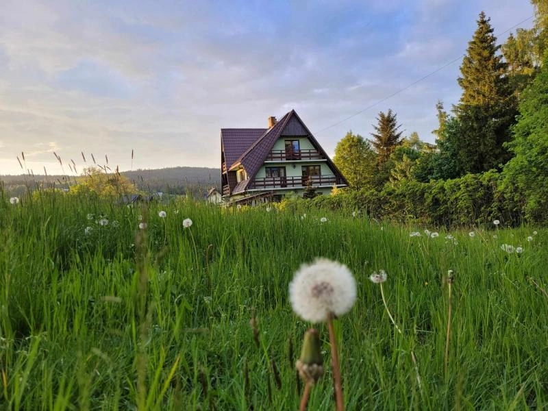 Apartamenty Leśne